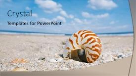  Presentation with florida beach - PPT theme featuring nautilus-shell-on-white-florida background and a light blue colored foreground