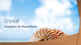 Presentation with florida beach - Cool new PPT theme with nautilus shell on white florida beach sand under sun light shallow dof backdrop and a sky blue colored foreground