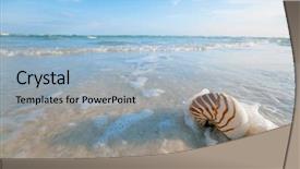  Presentation with florida beach - Colorful presentation theme enhanced with nautilus shell on white florida beach sand under sun light shallow dof backdrop and a light blue colored foreground
