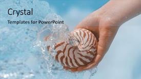  Presentation with sea shell - Slide set consisting of nautilus shell on woman's hands under sea wave background and a light blue colored foreground
