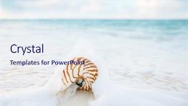  Presentation with sea shell - Slide deck consisting of nautilus shell sea waves live background and a sky blue colored foreground