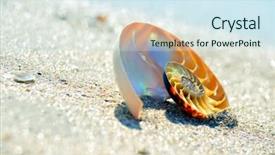  Presentation with gravel sand mining - Presentation theme enhanced with nautilus shell section on wet sand background and a sky blue colored foreground