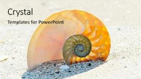  Presentation with shell - Colorful slide deck enhanced with nautilus-shell-section backdrop and a lemonade colored foreground