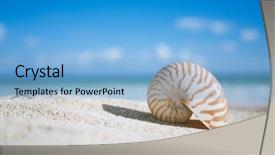  Presentation with shell gasoline - Audience pleasing PPT layouts consisting of nautilus shell with ocean beach backdrop and a light blue colored foreground