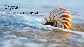  Presentation with sea shell - Presentation design consisting of nautilus shell with sea wave background and a light blue colored foreground
