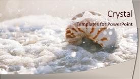  Presentation with sea shell - PPT layouts enhanced with nautilus shell with sea wave background and a lemonade colored foreground