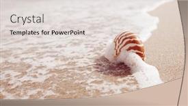  Presentation with sea shell - Cool new PPT layouts with nautilus-shell-with-sea-wave backdrop and a lemonade colored foreground