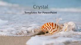 Presentation with sea shell - Slide set consisting of nautilus-shell-with-sea-wave background and a light blue colored foreground