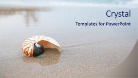  Presentation with sea shell - Presentation theme with nautilus-shell-with-sea-wave background and a sky blue colored foreground
