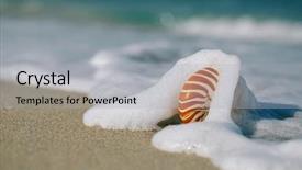  Presentation with florida power and light - Slide deck with nautilus shell with sea wave background and a  colored foreground