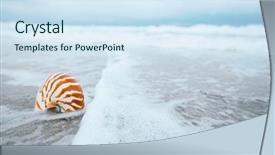  Presentation with florida power and light - Slide deck having nautilus shell with sea wave background and a sky blue colored foreground