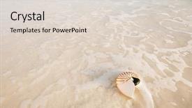  Presentation with sea shell - Presentation theme with nautilus shell with sea wave background and a lemonade colored foreground