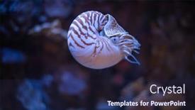 Presentation with swimming - Slides enhanced with nautilus-swimming-in-an-aquarium background and a navy blue colored foreground