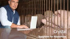  Presentation with breeding - Presentation having  background and a  colored foreground