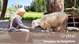  Presentation with sheep herder - PPT theme with nazareth-israel-april-24-man background and a coral colored foreground