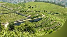  Presentation with architecture sheikh zayed grand mosque - Slides with ne world - grand cru vineyard hermitage rhone-alpes background and a  colored foreground