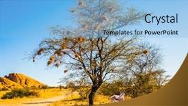  Presentation with africa tourism - Slide deck enhanced with near a tree with bird background and a light blue colored foreground