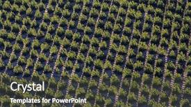  Presentation with farm - PPT theme having near camarillo in ventura county background and a dark gray colored foreground