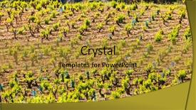  Presentation with vineyards - Audience pleasing theme consisting of near chateauneuf-du-pape provence backdrop and a gold colored foreground