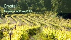  Presentation with honeymoon france - Beautiful theme featuring near chateauneuf-du-pape provence backdrop and a tawny brown colored foreground