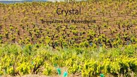  Presentation with vineyards - Presentation theme consisting of near chateauneuf-du-pape provence background and a gold colored foreground