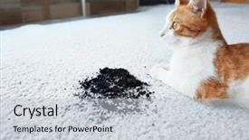  Presentation with soil - Amazing slide deck having near scattered soil on light backdrop and a light gray colored foreground