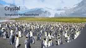  Presentation with antarctic - Amazing PPT layouts having near snow mountains in antarctic backdrop and a  colored foreground