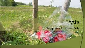  Presentation with road accident - PPT theme with near the road for somebody background and a  colored foreground