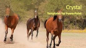  Presentation with horse racing robotics - Slide deck featuring need speed - three arabian horses racing background and a tawny brown colored foreground