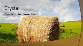  Presentation with skies - Presentation with needle hay stack - haystacks under the skies background and a  colored foreground