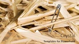  Presentation with needle - Slide set with needle-in-a-bale background and a coral colored foreground