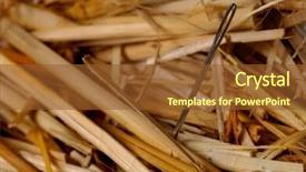  Presentation with needle - Presentation theme with needle in a haystack background and a  colored foreground