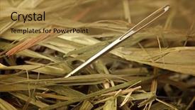  Presentation with needle - Slides having needle in a haystack background and a gold colored foreground