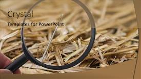  Presentation with lost - Slide set enhanced with needle-is-lost-in-haystack background and a coral colored foreground