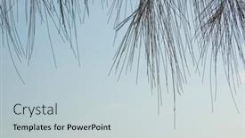  Presentation with needle - 