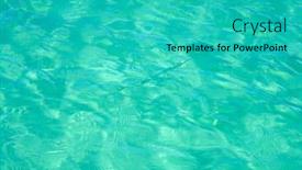  Presentation with caribbean - Audience pleasing PPT layouts consisting of needlefish-in-caribbean-water-beach backdrop and a teal colored foreground