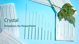  Presentation with needles - PPT layouts enhanced with needles for acupuncture on blue background background and a arctic colored foreground
