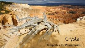  Presentation with needles - Presentation theme consisting of needles-in-bryce-canyon-national background and a yellow colored foreground