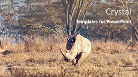  Presentation with neighborhood - Slide set enhanced with neighborhood-of-lake-nakuru background and a gray colored foreground