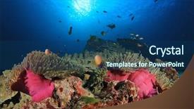  Presentation with coral reef - Amazing PPT theme having nemo - coral reef in ocean backdrop and a ocean colored foreground