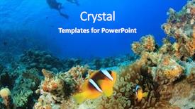  Presentation with scuba diving - Audience pleasing presentation theme consisting of nemo fish and couple scuba backdrop and a gray colored foreground