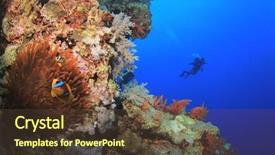  Presentation with clownfish nemo fish - PPT layouts having nemo fish and scuba diver background and a tawny brown colored foreground