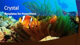  Presentation with fish - Amazing PPT theme having nemo fish with scuba diver backdrop and a cobalt blue colored foreground