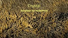  Presentation with weed - Slide deck consisting of neptune-necklace-or-hormosira-banksil background and a  colored foreground