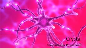  Presentation with nerve - Cool new PPT theme with nerve cell - active neurone backdrop and a coral colored foreground