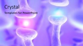  Presentation with nerve - Amazing slides having nerve cell - active receptor backdrop and a light blue colored foreground