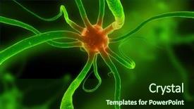  Presentation with nerve - Slides featuring nerve cell - axon background and a forest green colored foreground