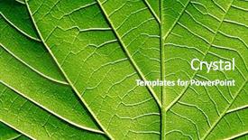  Presentation with veins - Cool new theme with nerve cell - close up of a green backdrop and a tawny brown colored foreground