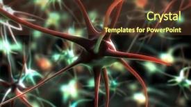  Presentation with nerve - Beautiful presentation design featuring nerve cell - neurone backdrop and a tawny brown colored foreground