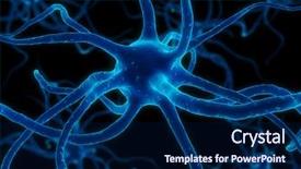  Presentation with nerve - Presentation theme featuring nerve cell - neurone background and a navy blue colored foreground